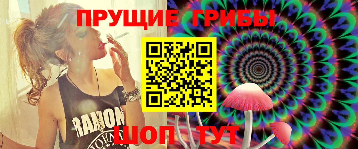 Галлюциногенные грибы Psilocybe  Вход с VPN  Луга  Галлюциногенные грибы ЛСД 