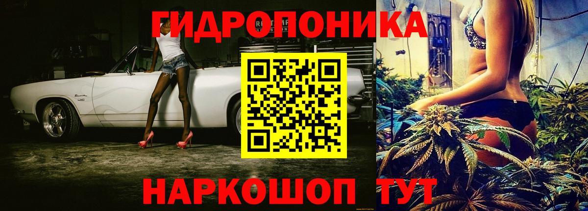 Конопля ГИДРОПОН Луга